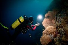 Photog doing his thing. Bali. © Wayne MacWilliams, All Rights Reserved.