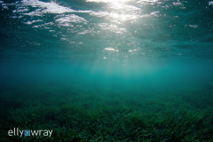"Serenity". © Elly Wray, All Rights Reserved.