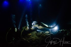 Manta Magic: Always be willing to try something new, even if it seems nuts. Like using only ambient light on a night dive! I had done the Kona night manta dive before and struggled with strobe back-scatter spoiling shots, so I turned them off. The images were a bit noisy, but I found that the soft-focus effect of noise reduction added a dreamy quality that enhanced rather than detracted from the shot.