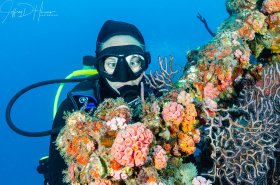 Scorpion on Wreck: It took a couple of passes in the stiff current to set this one up but after a few tries the humans got it right. The Scorpion Fish understood perfectly where she was supposed to be.