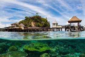 Missol - Photographed in Raja Ampat, Indonesia