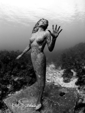 Amphitrite.  Taken in 2014