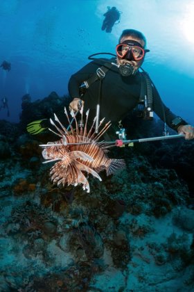 Lionfish – Cozumel