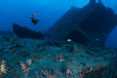 Wreck – Jupiter, FL