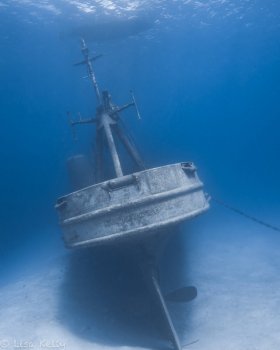 Kittewake stern