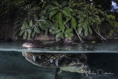 Casper Split, Homestead, FL