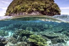 Coral Reef and Island Split, Raja Ampat, Indonesia
