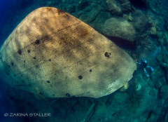 PANAGIS WRECK: Photographed in Fleves Island, Greece