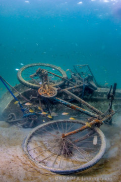 Bicycle Wreck