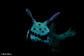 Nembrotha, Nacala, Mozambique