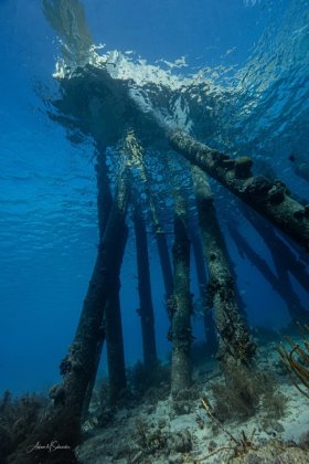 The famous Salt Pier of Bonaire