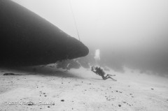 Hilma - The Hilma Hooker is an iconic wreck in Bonaire. Here the wreck is given scale by the diver taking a photo.