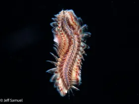 Nikon D850 ISO 400 F9 1/200