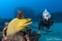 Diver with large green moray. Pompano, Florida