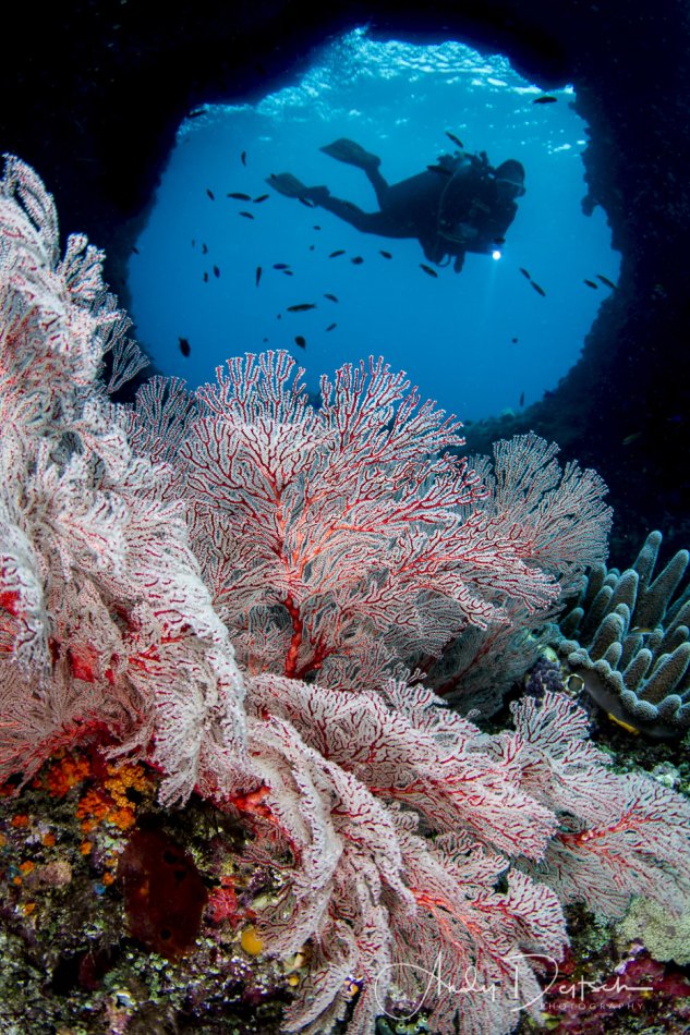 Boo's Window, Raja Ampat Indonesia