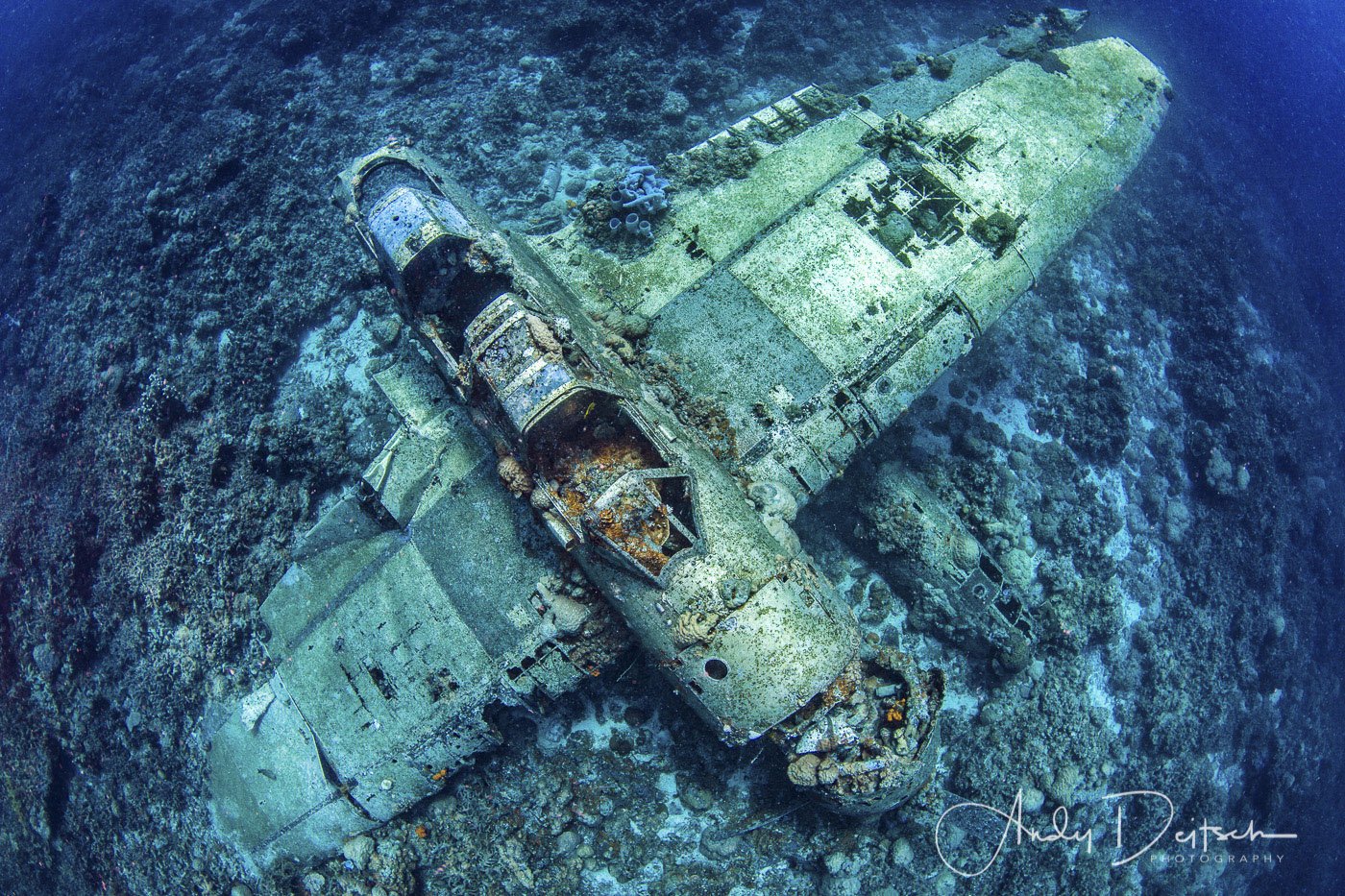 Jake's Seaplane, Palau