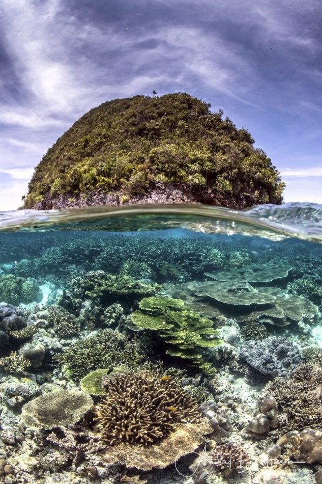 Coral Reef and Island Split, Raja Ampat, Indonesia