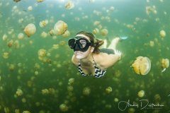 Jellyfish Lake, Palau