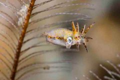 © Beate Seiler - All Rights Reserved