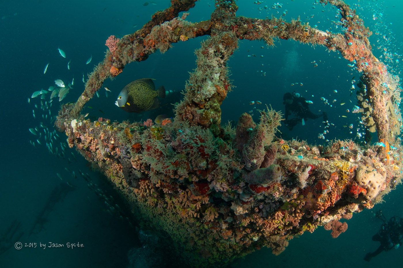 Backyard Wreck