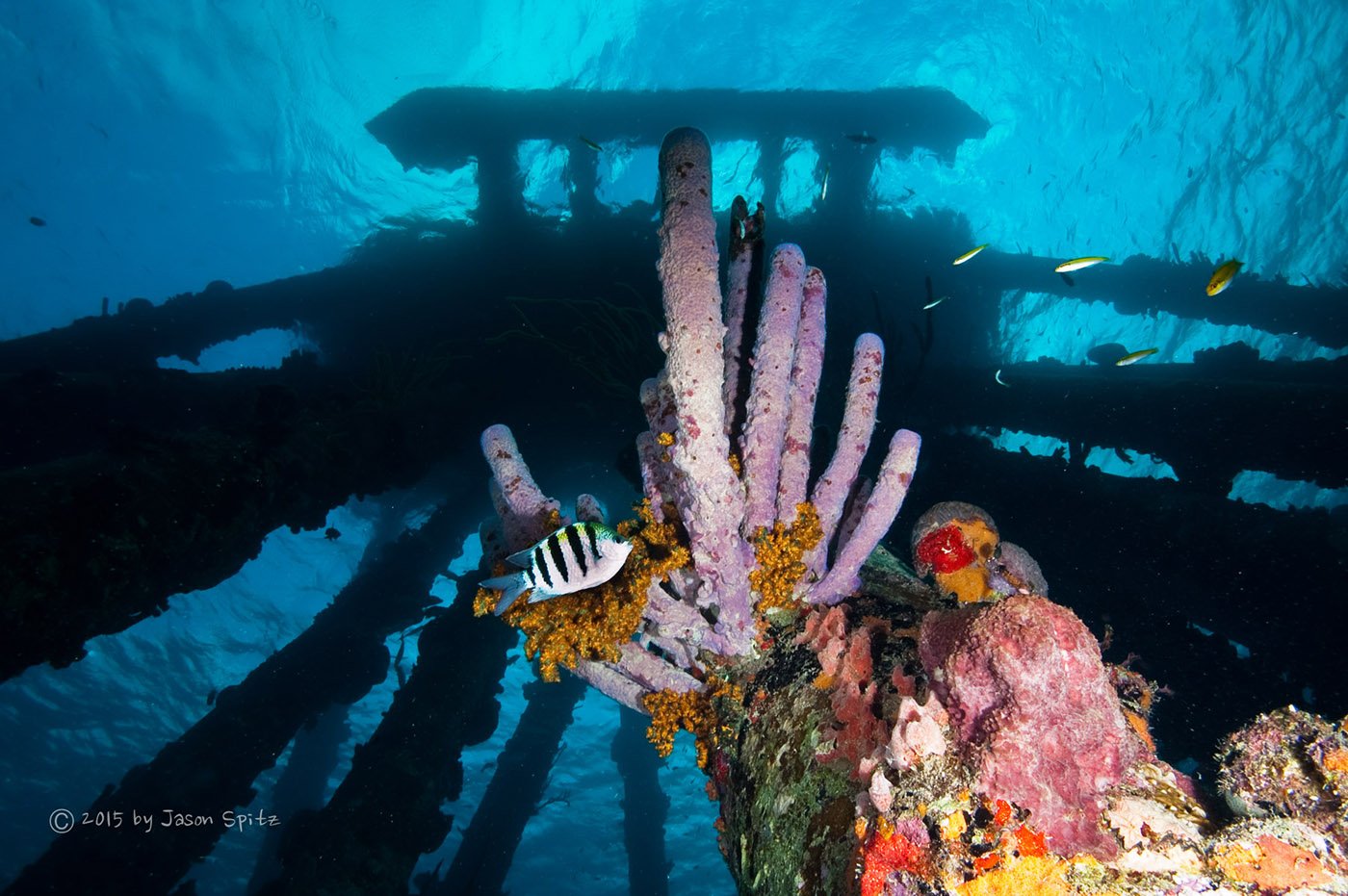 Pier, Bonaire