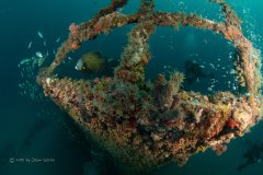 Backyard Wreck