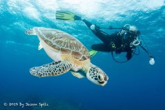 Ocean Explorers, Simpson Bay, St. Maarten