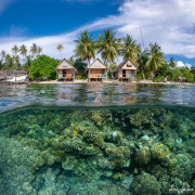 2024_01_French_Polynesia_Fakarava_UW_430