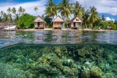 2024_01_French_Polynesia_Fakarava_UW_430