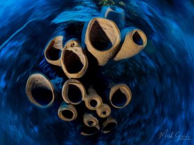 Slow Shutter Spin Shot Grand Cayman