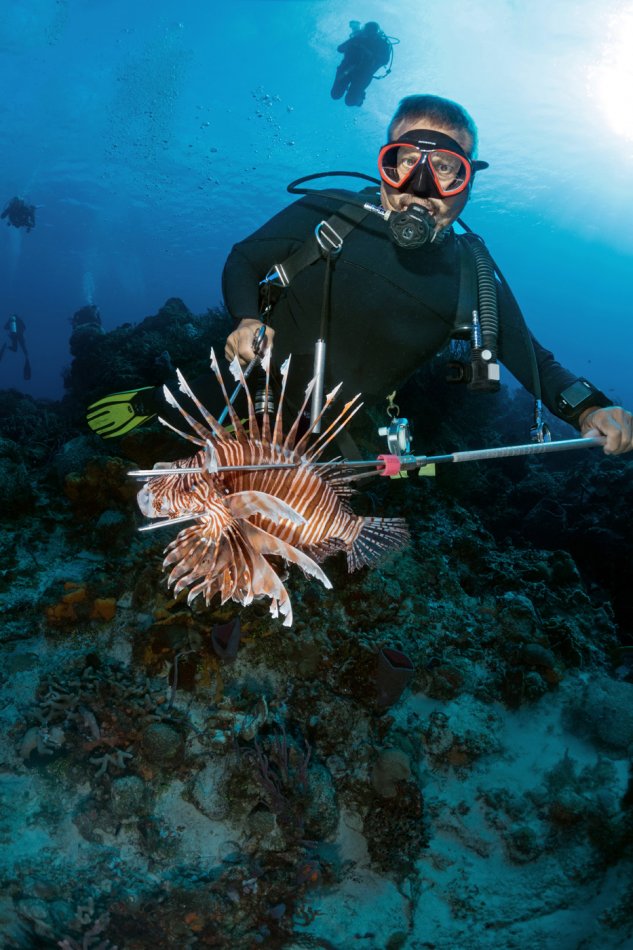 Lionfish – Cozumel