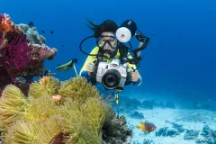 Underwater photographer with clownfish. Wakatobi Indonesia
