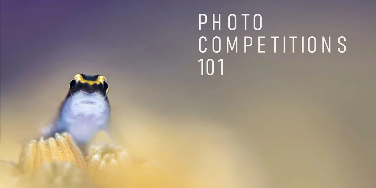 contests-101
