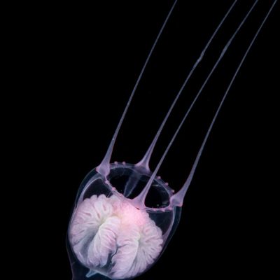 08082018_080