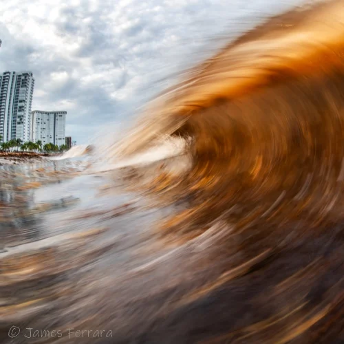 M1-Sargassum Surge-OctoberMasters-JamesFerrara-Square