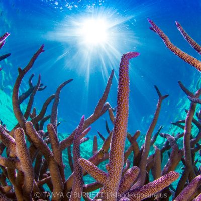 Solomon Islands, Pacific Ocean
