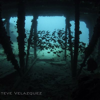3rd Place - Steve Velazquez